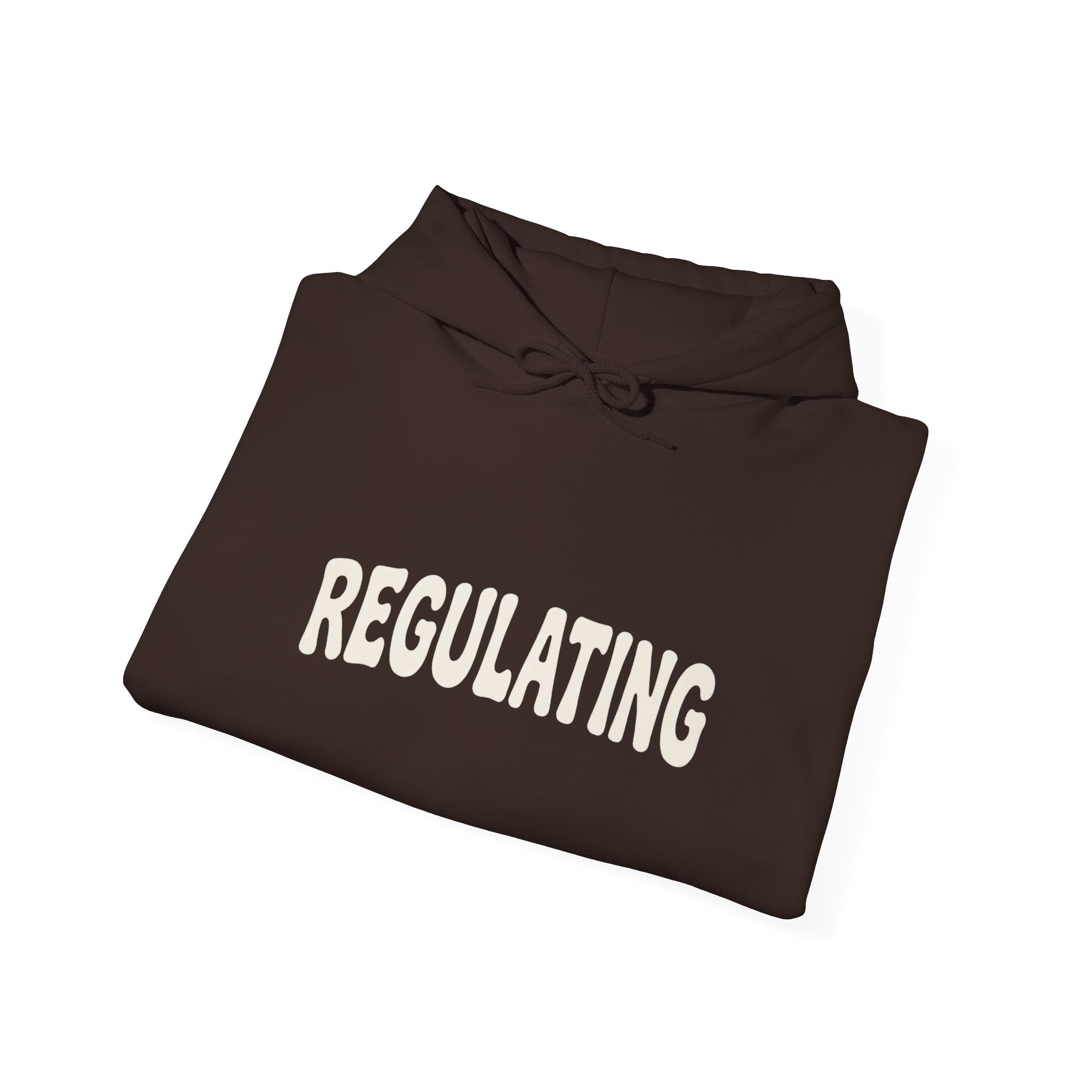 Regulating Hoodie | Regulating... Give Me A Second Sweatshirt