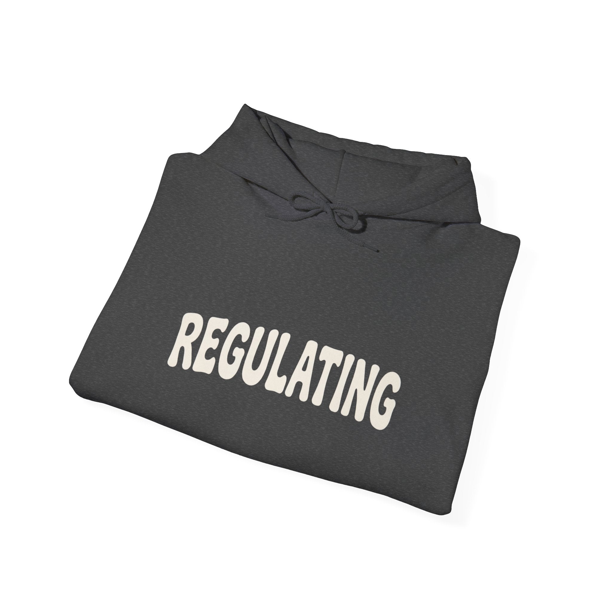 Regulating Hoodie | Regulating... Give Me A Second Sweatshirt