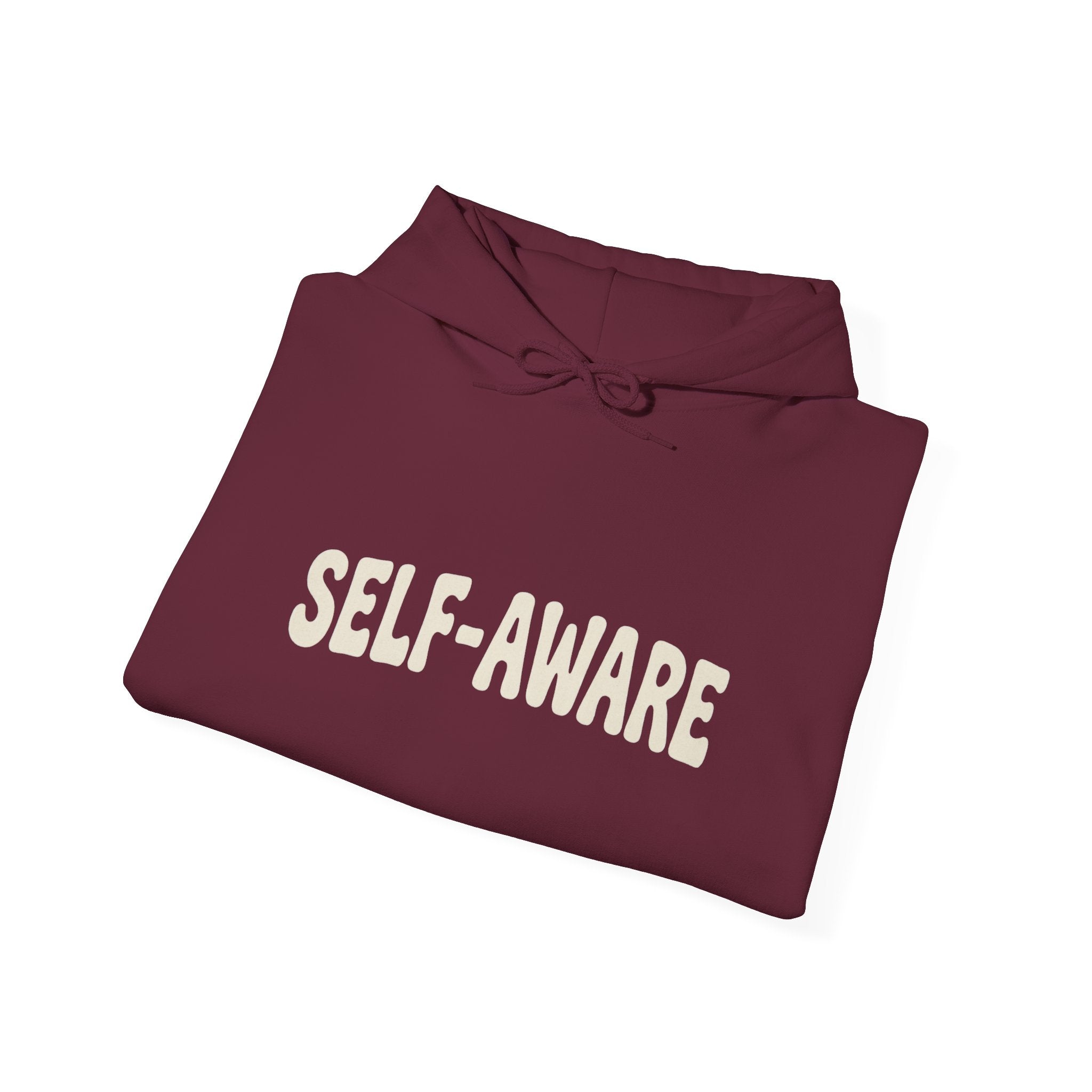 Self-Aware Hoodie | Attachment Issues But Self-Aware Back Print